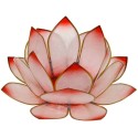  Lotus Levée du Soleil - Rosé 