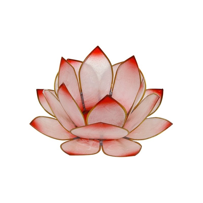  Lotus Levée du Soleil - Rosé 