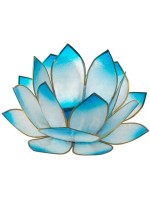  Lotus Levée du Soleil - Turquoise 