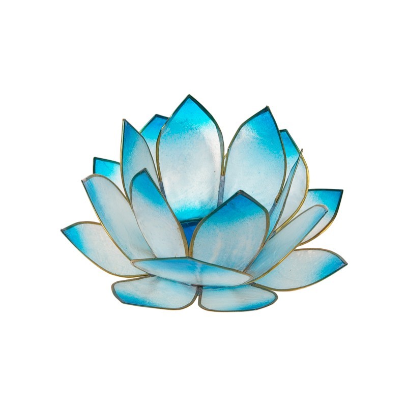  Lotus Levée du Soleil - Turquoise 