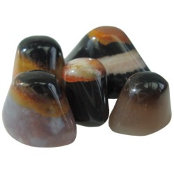 Oeil de Shiva Agate - Lot de 5 pcs