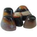 Oeil de Shiva Agate - Lot de 5 pcs