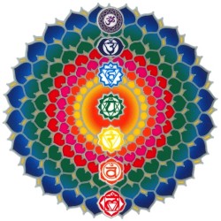 Autocollant Attrape Soleil : Chakras