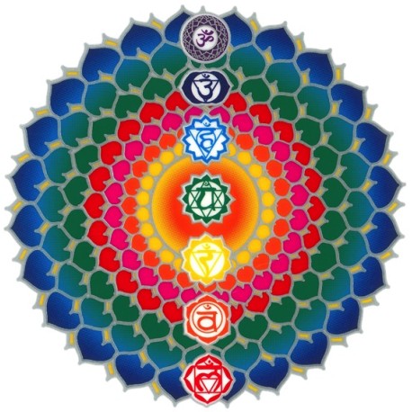 Autocollant Attrape Soleil : Chakras