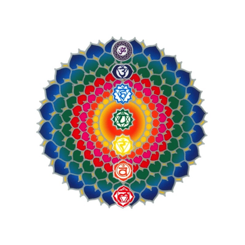 Autocollant Attrape Soleil : Chakras