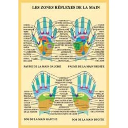 Zones réflexes de la main