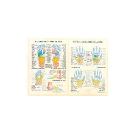 Zones réflexes de la main et du pied