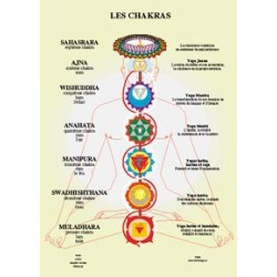 Chakras