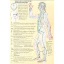 Points acupuncture symptom.