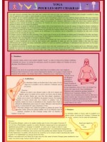 Yoga pour les sept chakras