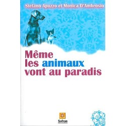 Même les animaux vont au paradis