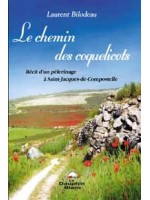 Chemin des coquelicots - Compostelle