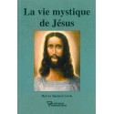 Vie mystique de Jésus