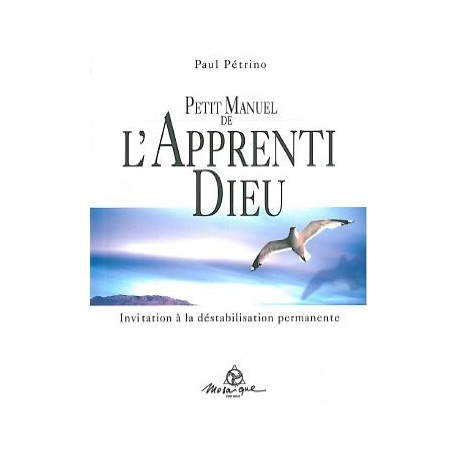 Petit manuel de l'apprenti Dieu