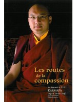 Les routes de la compassion