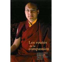 Les routes de la compassion