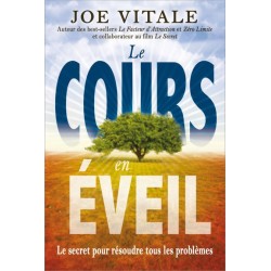 Le cours en éveil - Le secret pour résoudre tous les problèmes