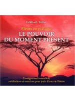 Mettre en pratique le pouvoir du moment présent - Livre audio