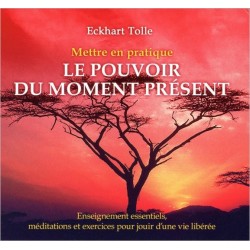 Mettre en pratique le pouvoir du moment présent - Livre audio