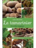 Le tamarinier - Un arbre magique