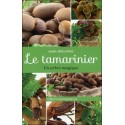 Le tamarinier - Un arbre magique