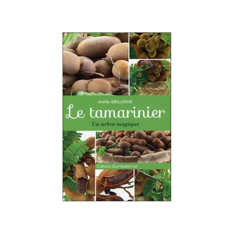 Le tamarinier - Un arbre magique