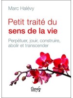 Petit traité du sens de la vie