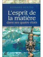 L'esprit de la matière dans ses quatre états