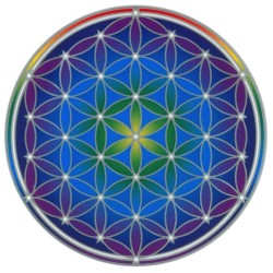 Autocollant Attrape Soleil : Fleur de Vie - Flower of Life Mandala