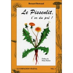 Le Pissenlit. l'or du pré ! Vol. 3