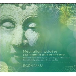 Méditations guidées pour le calme, la conscience et l'amour - Livre audio