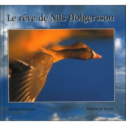 Le rêve de Nils Holgersson