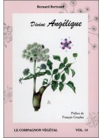 Divine Angélique - Vol. 13