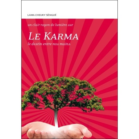 Le Karma - Le destin entre nos mains