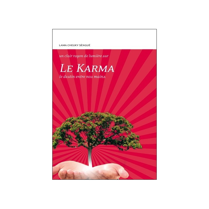 Le Karma - Le destin entre nos mains