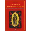 La toute puissante Notre Dame de Guadalupe - La vierge aux plus puissants miracles