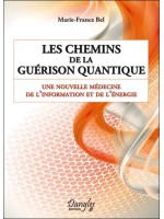 Les chemins de la guérison quantique - Une nouvelle médecine de l'information et de l'énergie