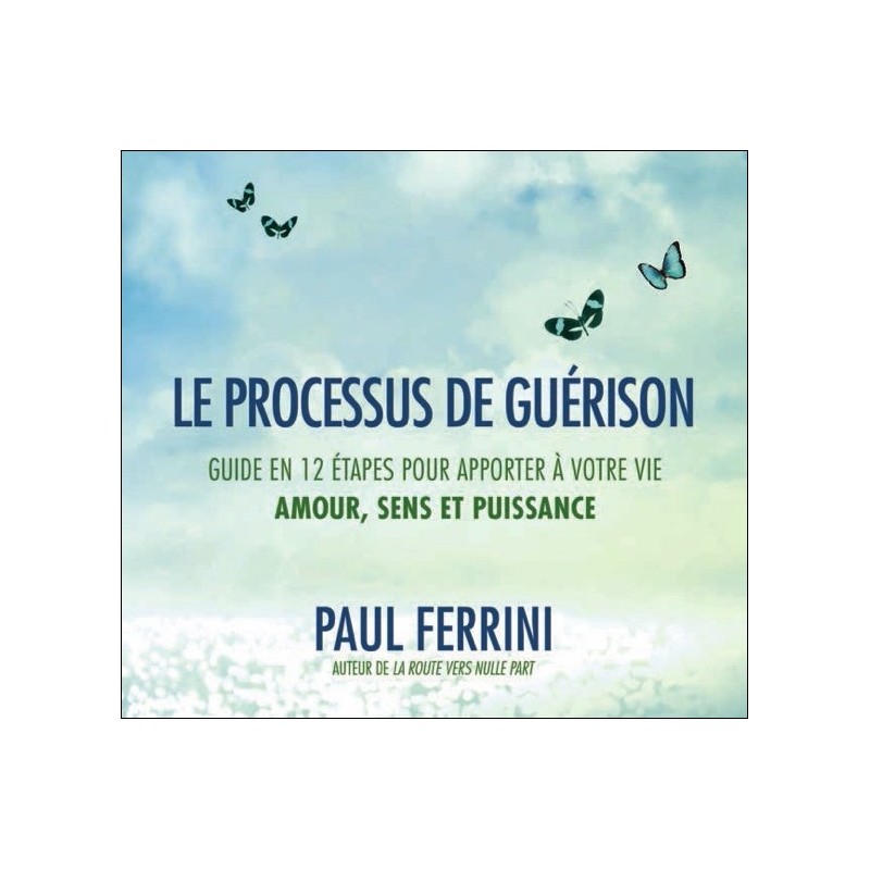 Le processus de guérison - Guide en 12 étapes pour apporter à votre vie - Amour, sens et puissance - Livre audio 2CD