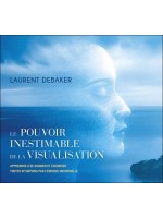 Le pouvoir inestimable de la visualisation - Livre audio