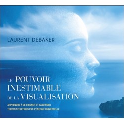 Le pouvoir inestimable de la visualisation - Livre audio