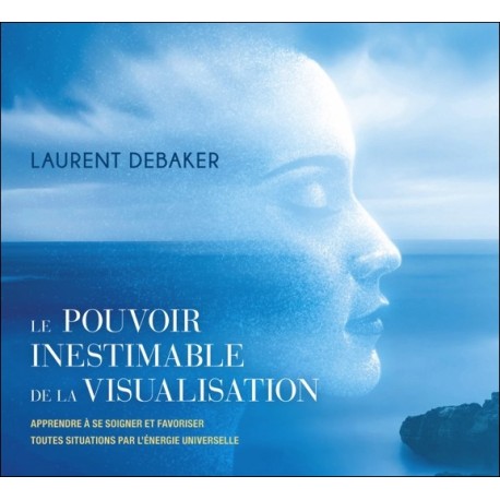 Le pouvoir inestimable de la visualisation - Livre audio