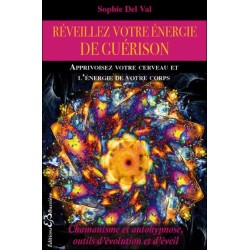 Réveillez votre énergie de guérison - Apprivoisez votre cerveau et l'énergie de votre corps