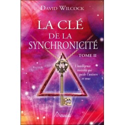 La clé de la synchronicité - T2 - L'intelligence invisible qui guide l'univers et vous