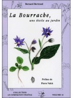 La Bourrache, une étoile au jardin - Vol. 14