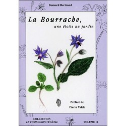 La Bourrache. une étoile au jardin - Vol. 14