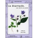 La Bourrache, une étoile au jardin - Vol. 14