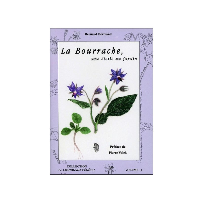 La Bourrache, une étoile au jardin - Vol. 14