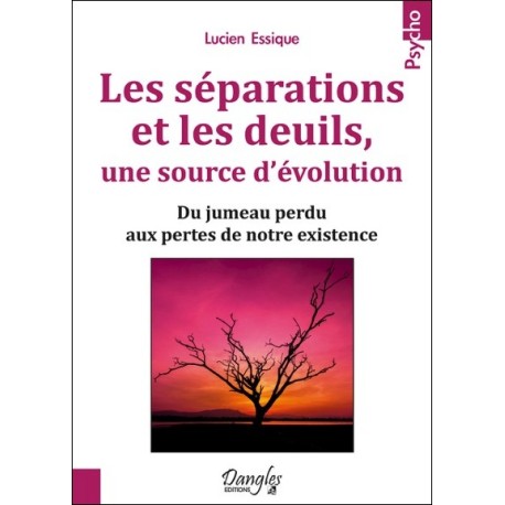 Les séparations et les deuils, une source d'évolution - Du jumeau perdu aux pertes de notre existence