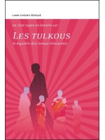 Les Tulkous - Le mystère des lamas réincarnés