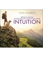 Mettre en pratique les exercices d'un chien pisteur nommé intuition - Livre audio